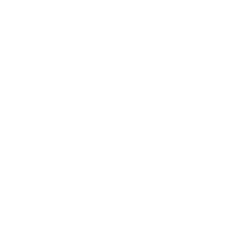 white globe icon