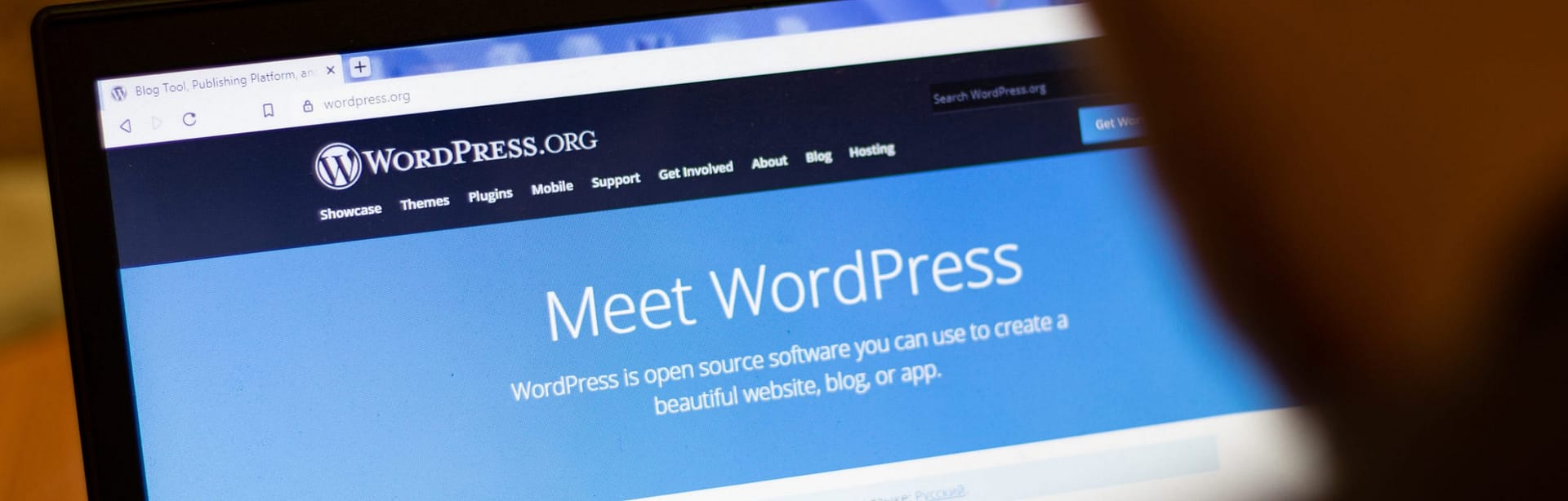 wordpress home page